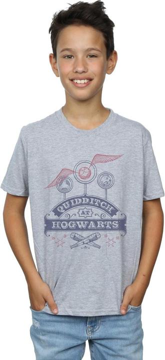 Actual product image Boys Quidditch At Hogwarts T-Shirt (152, 158)
