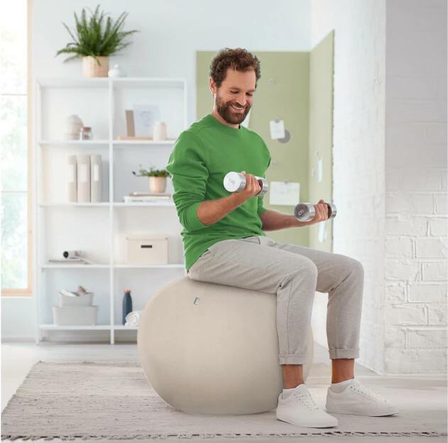 Image du produit Leitz Balle d'assise Active Ø 65cm gris clair (65 cm)
