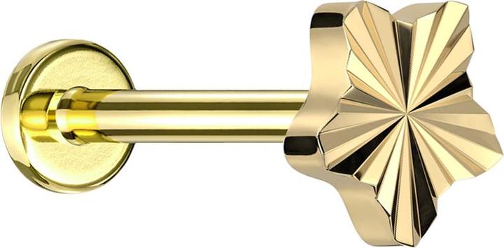 Produktbild Star Piercing Micro Labret Innengewinde vergoldet Diamantschliff Scheibe Stern vergoldet (Titan G23, ohne Messing)