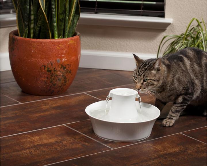 Actual product image Drinkwell PetSafe Avalon (2 l)