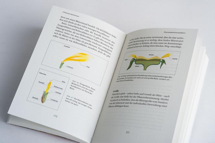 Actual product image Mein Wildkräuter-Guide (German, Manuel Larbig, 2021)