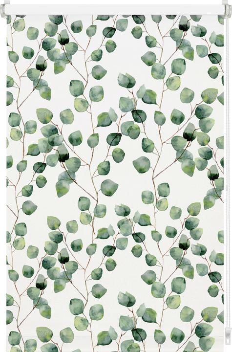 Produktbild Gardinia EASYFIX Rollo Digiprint Blackout Isabella (80 x 150 cm)