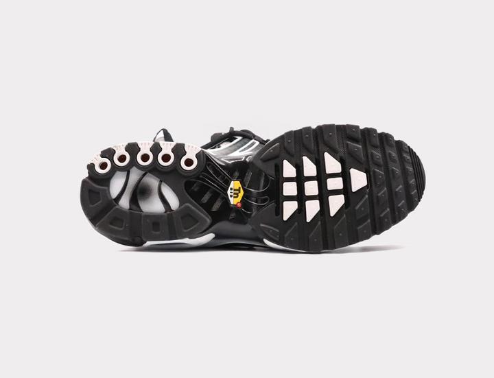 Image du produit Nike Air Max Plus (43)