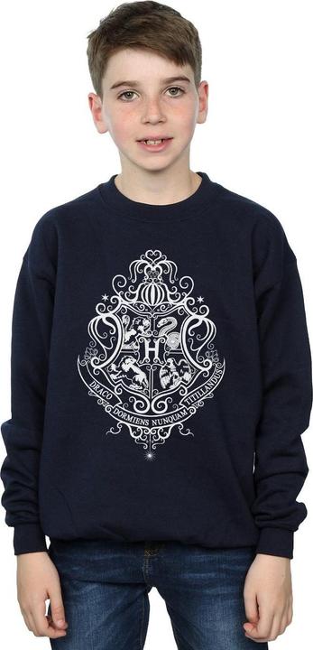 Actual product image Boys Hogwarts Draco Dormiens Crest Sweatshirt (128)