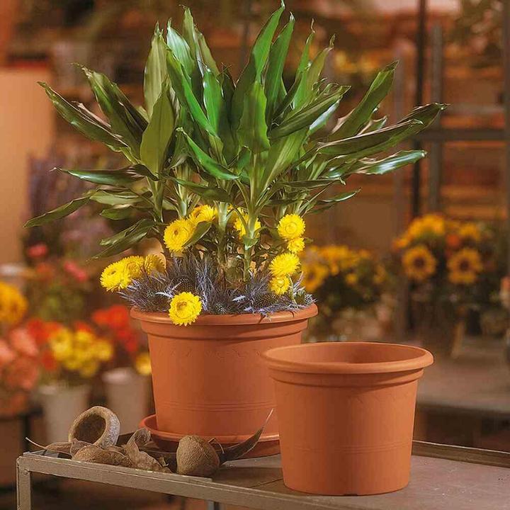 Actual product image Euro3plast Planter (35 cm)