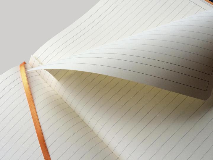 Immagine prodotto Rhodia Quaderni e quaderni Rho (A4+, Righe, Copertina morbida)