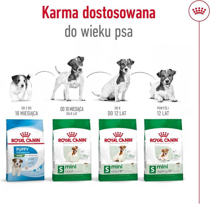 Immagine prodotto Royal Canin Mini Adulto (Adulto, 1 pz., 4000 g)