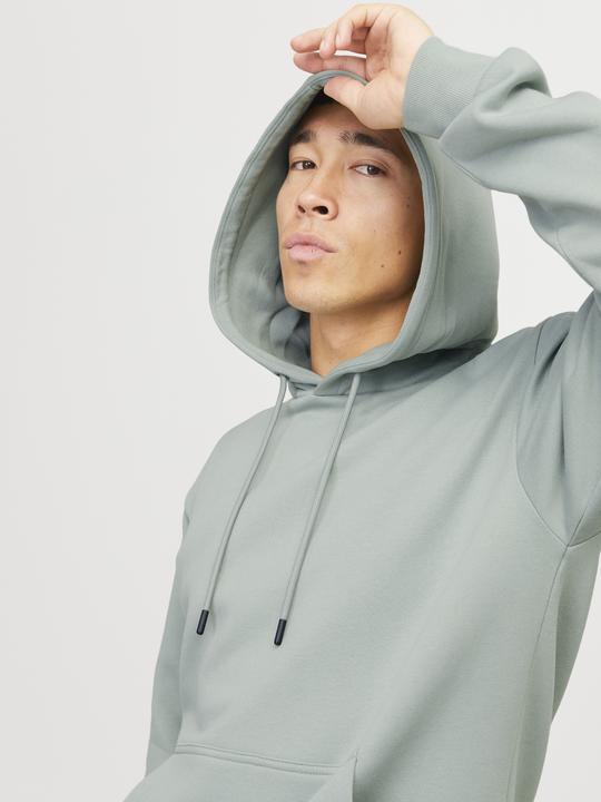 Actual product image Jack & Jones Jjebradley Sweat Hood Noos (XXL)