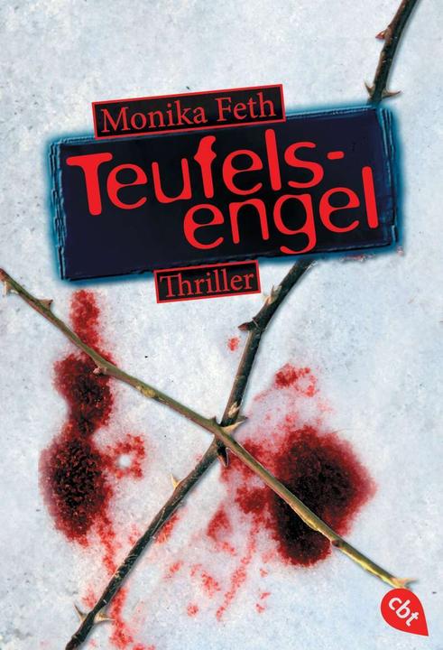 Produktbild Teufelsengel (Deutsch, Monika Feth, 2011)