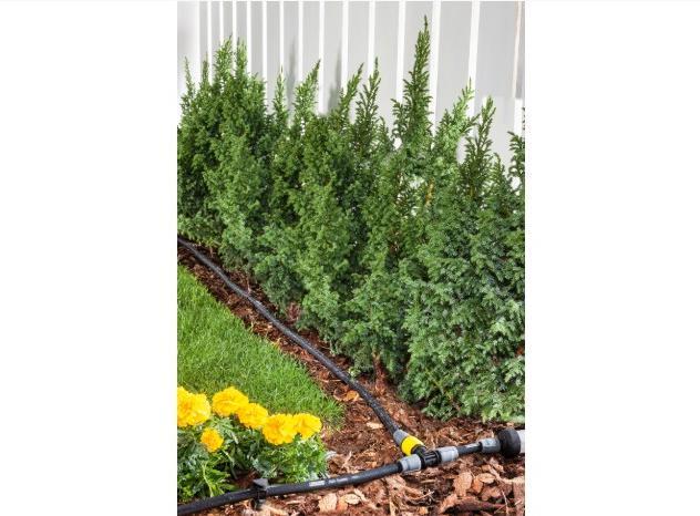 Actual product image Kärcher T-piece with regulation (Drip irrigation connector + branch)
