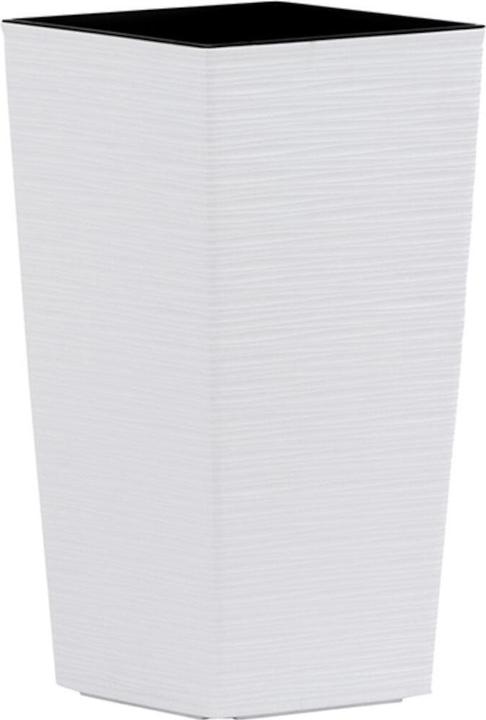 Immagine prodotto Siena Garden Modern (25 cm)
