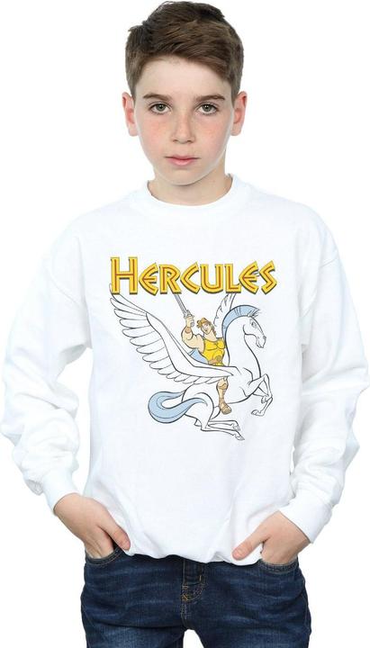 Actual product image Disney Boys Hercules With Pegasus Sweatshirt (140, 146)
