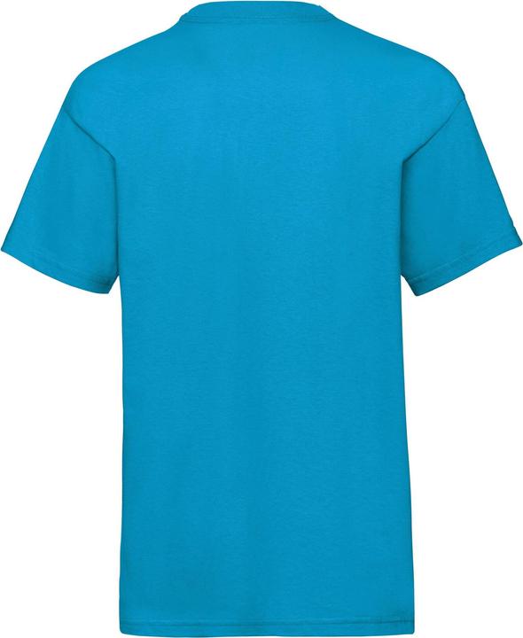 Actual product image Fruit of the Loom Childrens/Kids Value T-Shirt (152, 158)