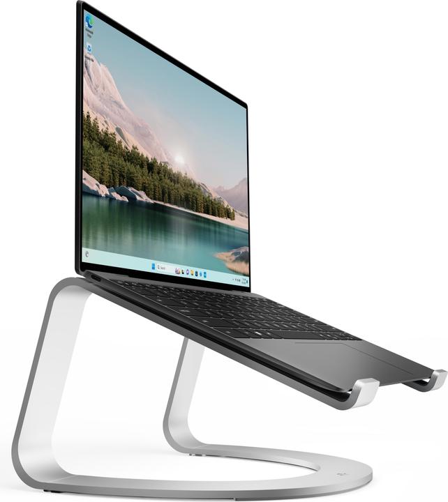 Actual product image TwelveSouth Curve SE