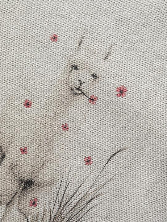 Produktbild Chillaz Klettershirt Alpaca Meadow (40, L)