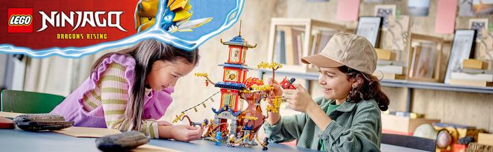 Actual product image LEGO NINJAGO - Temple of Dragon Power (71795, LEGO Ninjago)