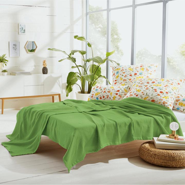 Immagine prodotto Erwin Müller Coperta estiva 2-Pack (150x200 cm)