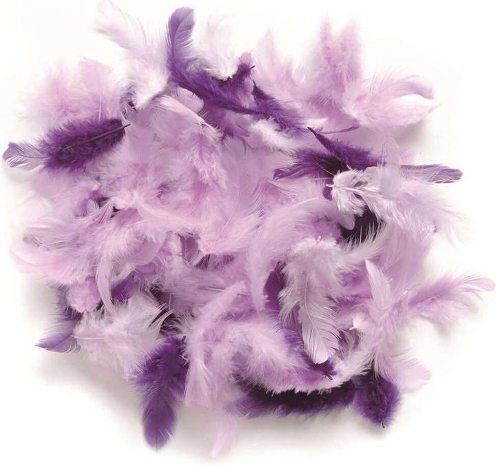 Produktbild Glorex Deco-Federn