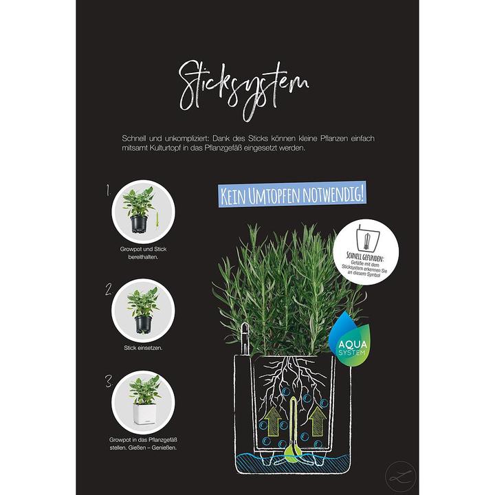 Image du produit Lechuza Green Wall Home Kit (15 cm)