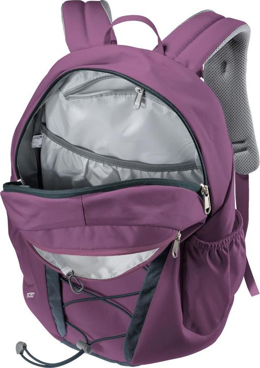 Produktbild Deuter Gogo (25 l)