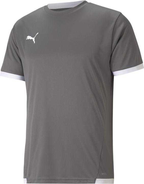 Puma teamLIGA Jersey-704917