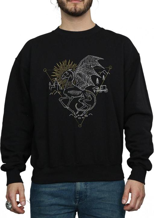 Immagine prodotto Thestral Line Art Felpa Uomo (L)