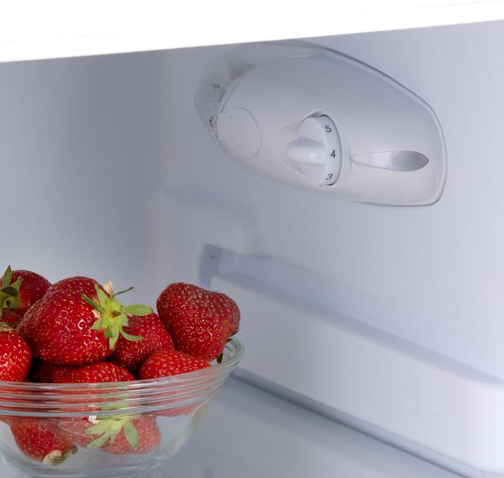 Immagine prodotto Domo DO91705R (206 l)
