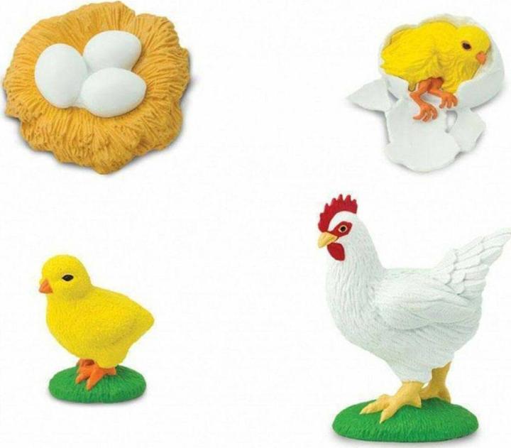 Actual product image Safari Life cycle of a chicken