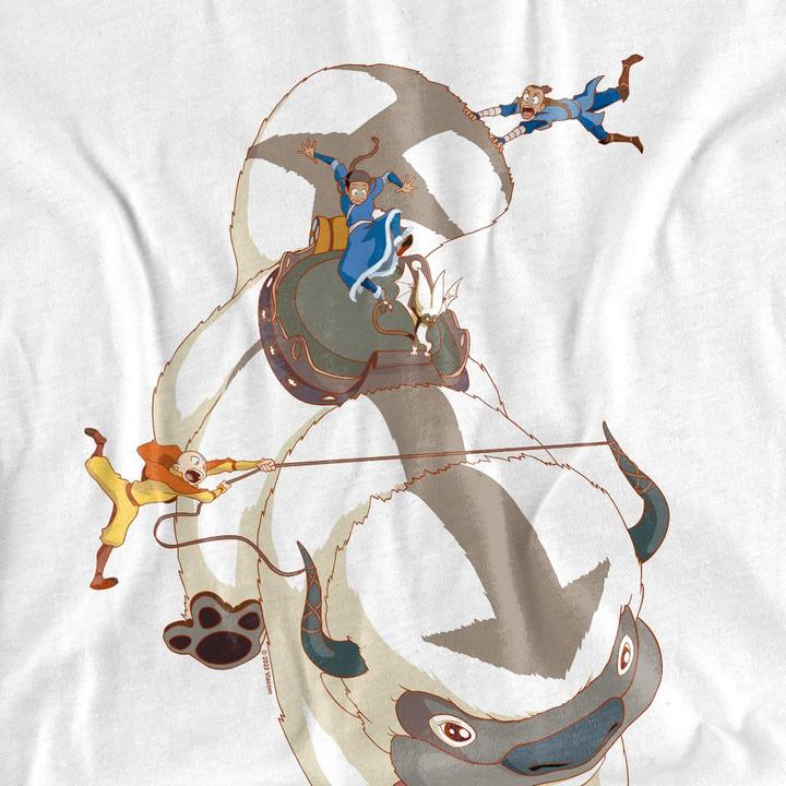Produktbild Avatar: The Last Airbender Hang On TShirt (XL)