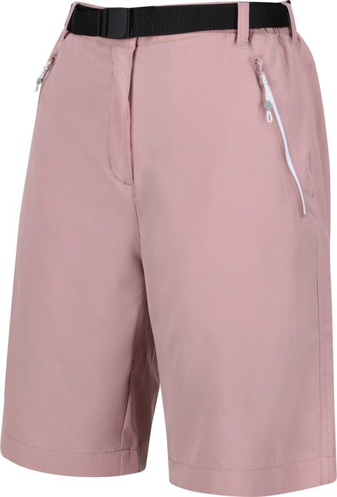 Actual product image Regatta Womens/Ladies Xert Stretch Shorts (36)