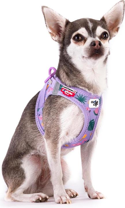 Image du produit Curli Harnais Vest Air-Mesh XS, Lavande-Flamingo, SE 2023 (XS, Chien)