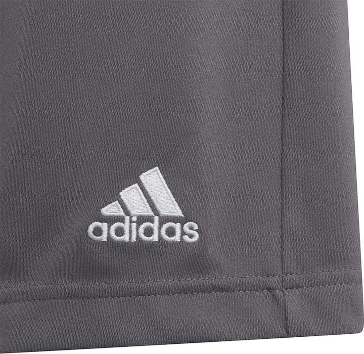 Image du produit adidas Entrada 22 Shorts (152)
