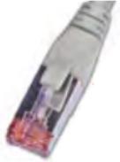 Image du produit Wirewin Câble de réseau (STP, CAT6, 0.50 m)