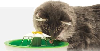 Actual product image Catit flower fountain (3 l)