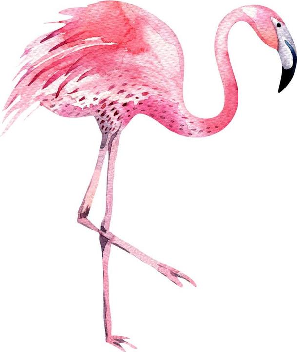 Produktbild Trenddeko Kristina Kvilis - Flamingo 02 (69 x 80 cm)