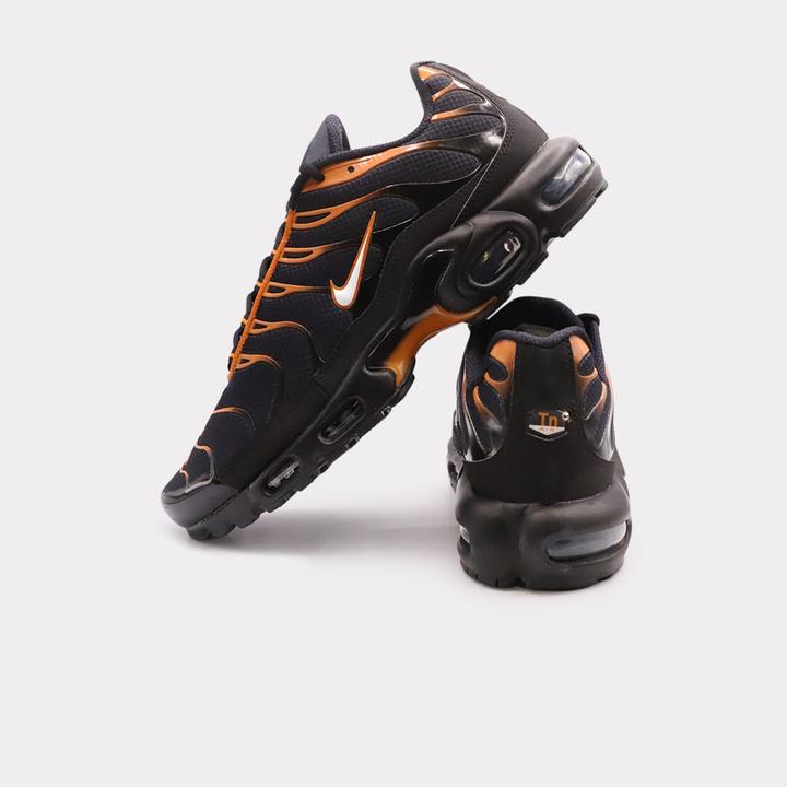 Image du produit Nike Air Max Plus (44)