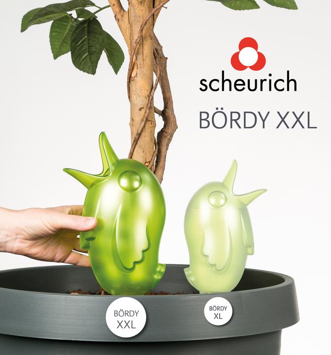 Actual product image Scheurich Bördy XXL (Clay cone)
