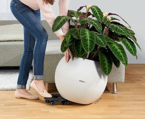 Actual product image Lechuza Rollenuntersetzer