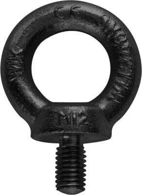 Riggatec Eyebolt M8 | black | WLL 140kg - DIN 580 | schwarz verzinkt