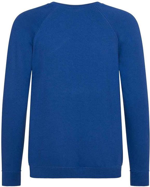Immagine prodotto Awdis Academy Felpa Raglan Bambini (116)