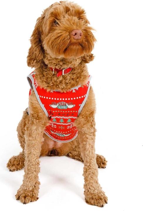 Immagine prodotto Friends Pigiama per cani Central Perk Design di Natale (XS, Cappotto per cani)