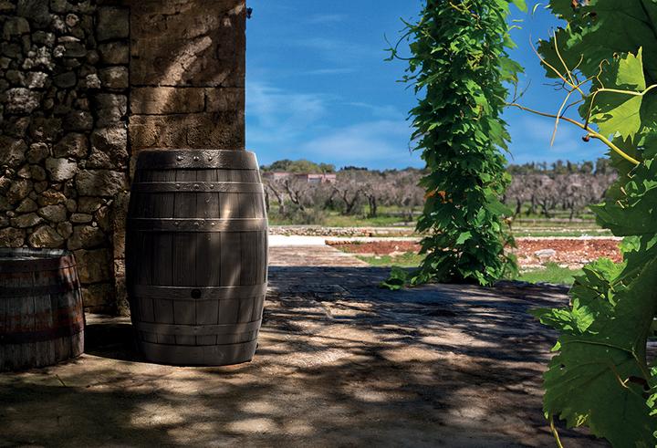 Produktbild Waterform Regenwassertonne mit Hahn (250 l)