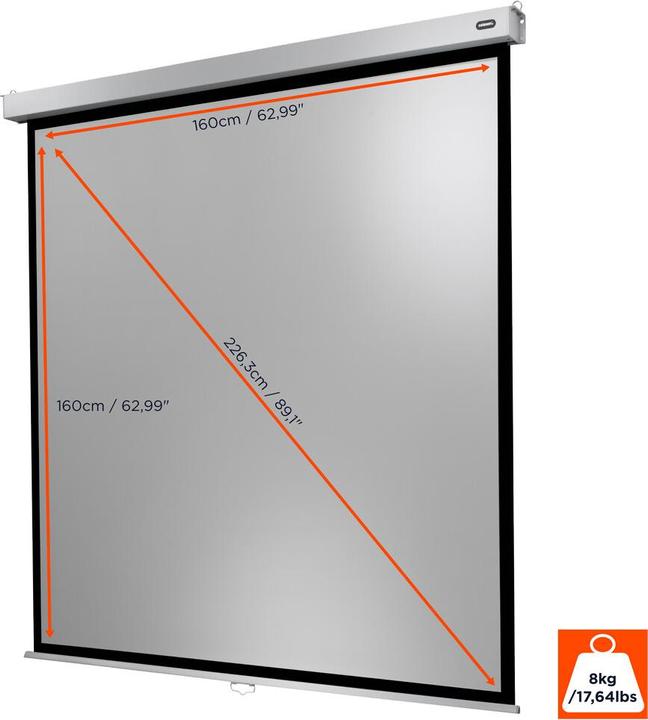 Actual product image Celexon Professional Plus (84", 1:1)