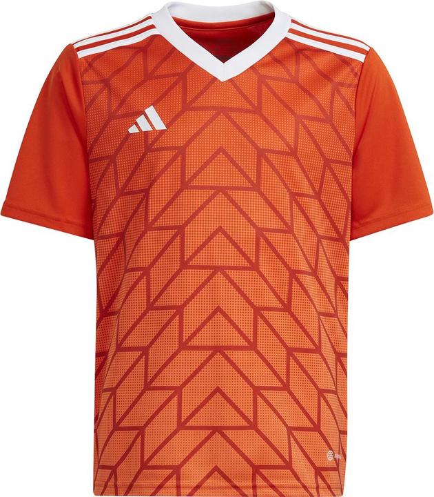 Actual product image adidas Team Icon 23 Jersey (116)