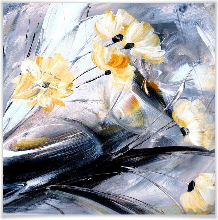 Image du produit Trenddeko Niksic - Boléro (70 x 70 cm)
