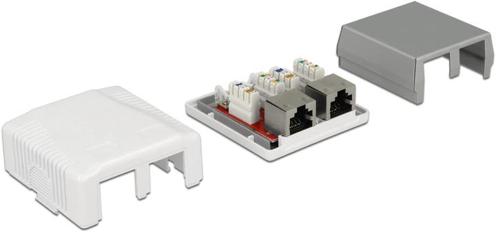 Immagine prodotto Delock Alloggiamento RJ-45 Cat.6A: 2 porte (Accessori di rete)