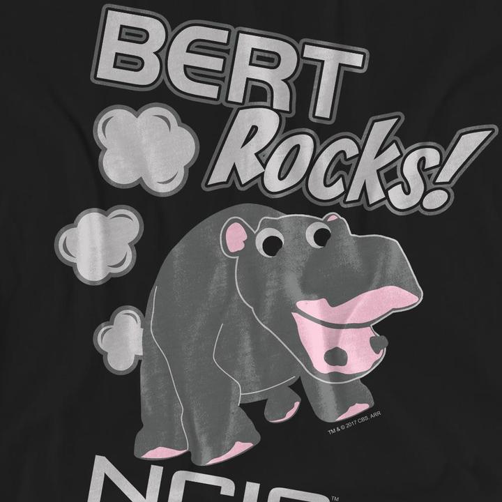 Actual product image Ncis Unisex Adult Bert Rocks T-Shirt (M)