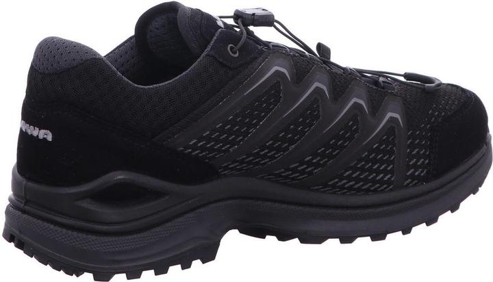 Actual product image Lowa Maddox GTX LO (41)
