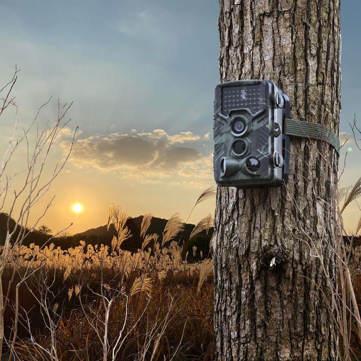 Actual product image Casativo Full HD wildlife camera with 3 motion sensors, continuous shooting & time-lapse function & night