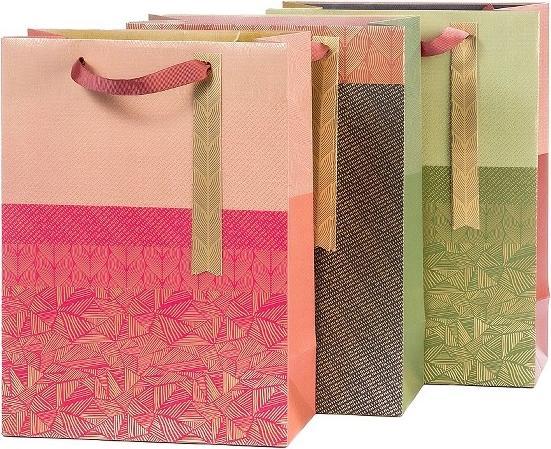 Image du produit Artebene Set de 3 sacs cadeaux Color Blocking (Pochette cadeau, 3 x)